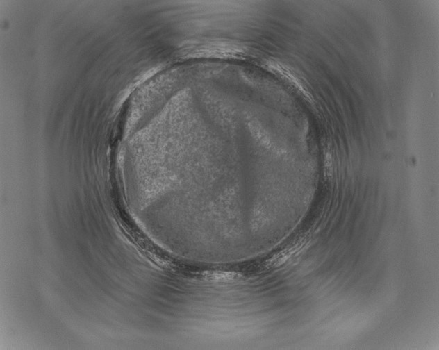 X0000076300539200610161556