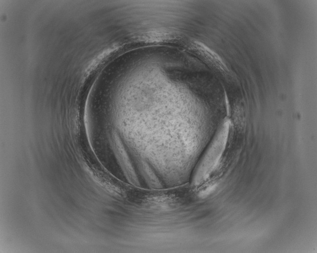 X0000076300540200610161556