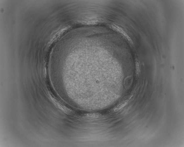 X0000076300541200610161556