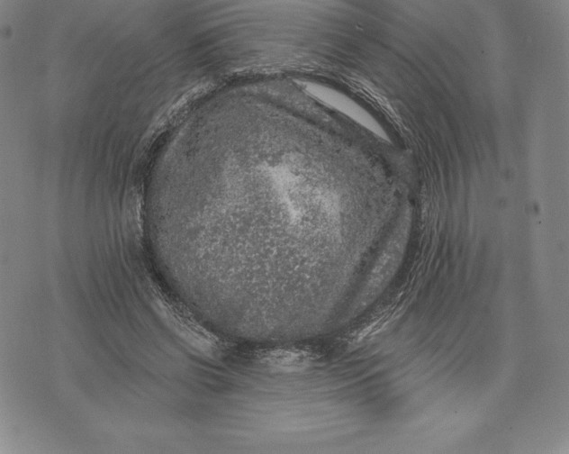 X0000076300542200610161556