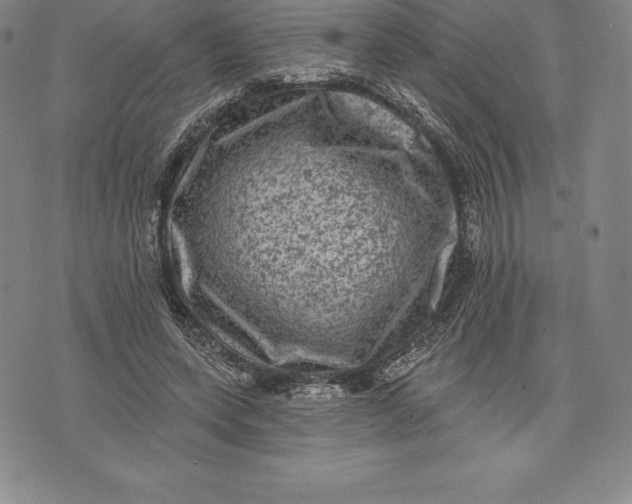 X0000076300543200610161556