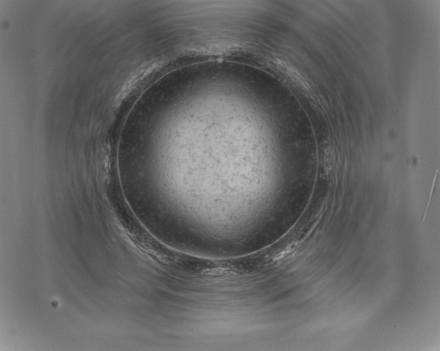 X0000076300544200610161556