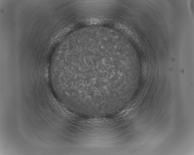 X0000076300545200610161556