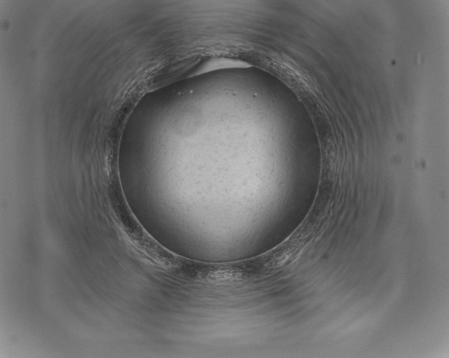 X0000076300546200610161556