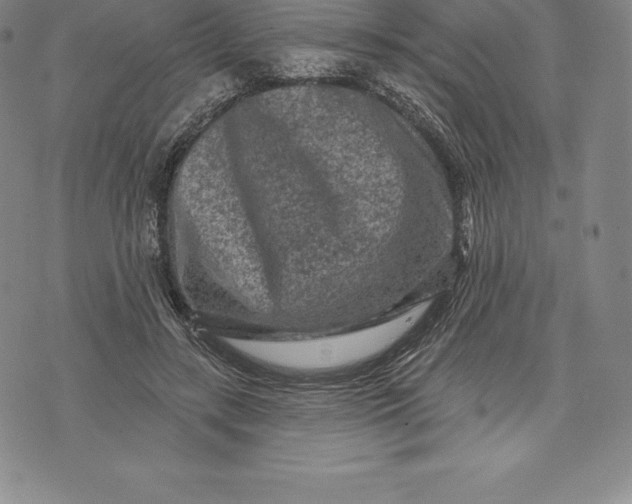 X0000076300547200610161556