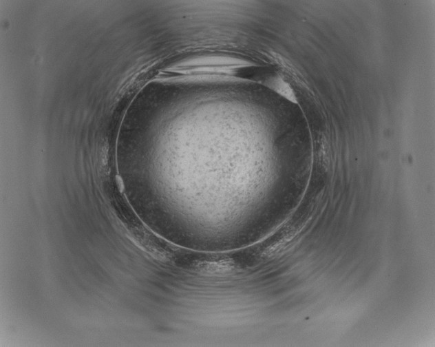 X0000076300548200610161556