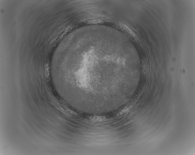 X0000076300549200610161556