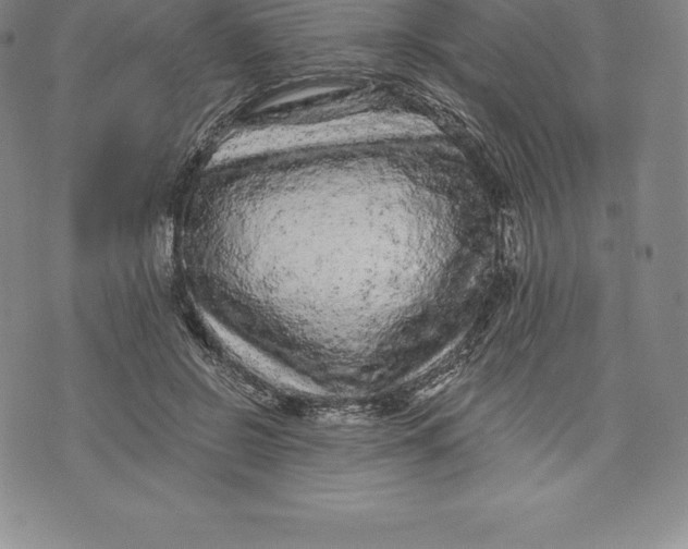 X0000076300550200610161556