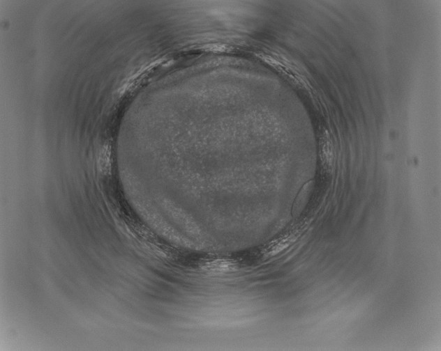 X0000076300551200610161556