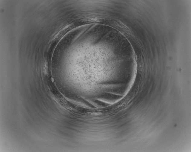 X0000076300552200610161556