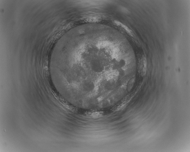 X0000076300553200610161556