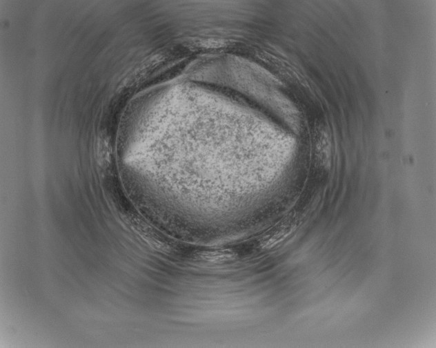 X0000076300555200610161556