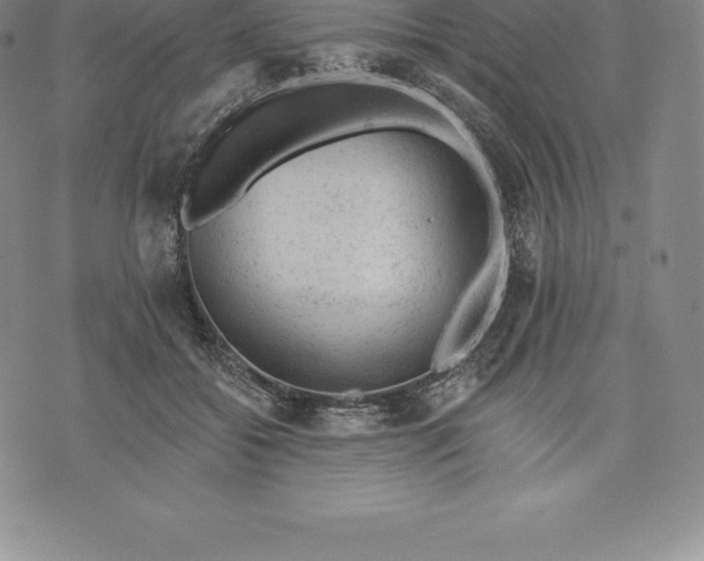 X0000076300556200610161556