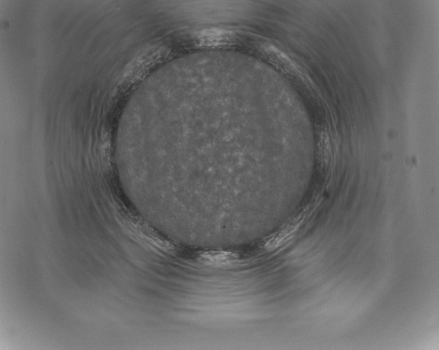 X0000076300557200610161556