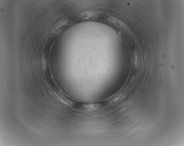 X0000076300558200610161556