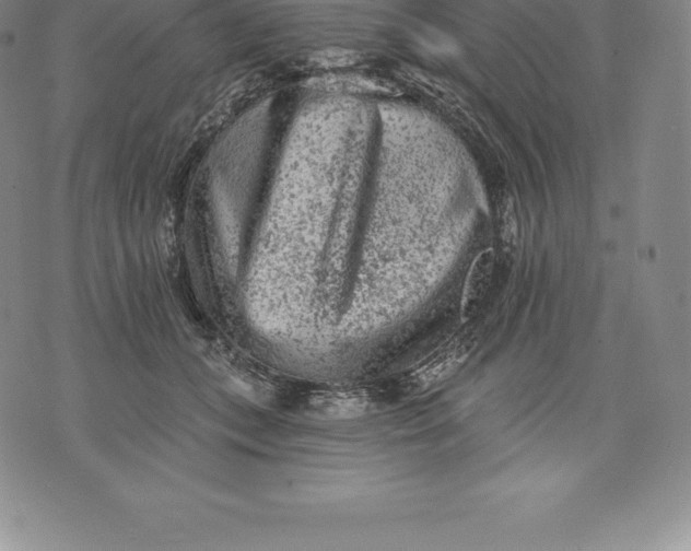 X0000076300559200610161556