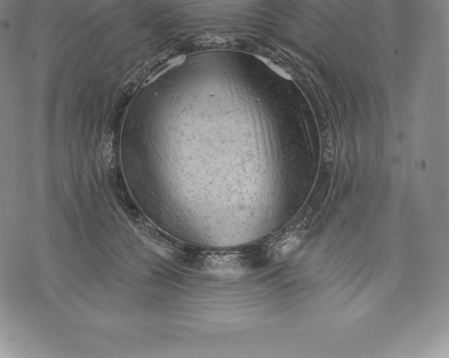 X0000076300560200610161556