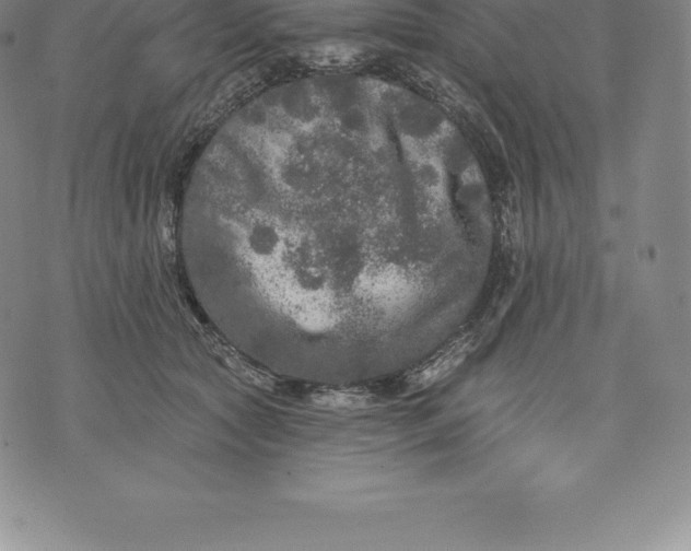 X0000076300561200610161556