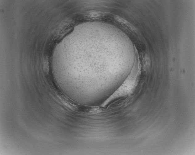 X0000076300562200610161556