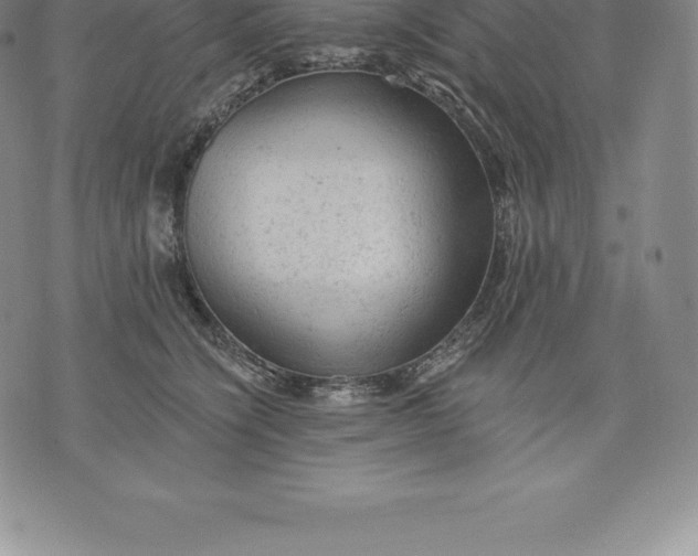 X0000076300564200610161556