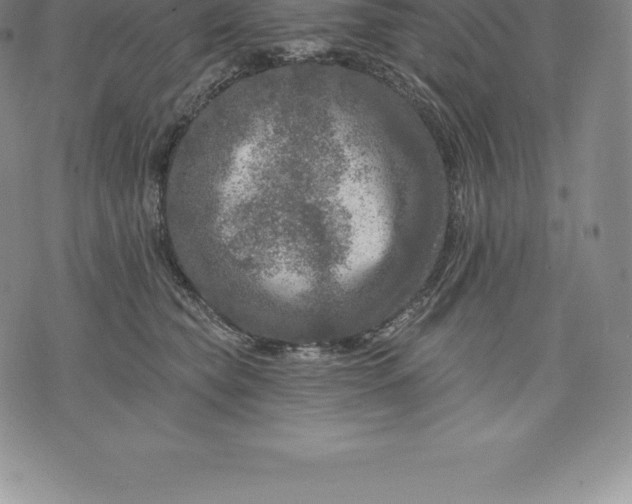 X0000076300565200610161556