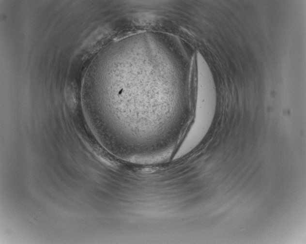 X0000076300566200610161556