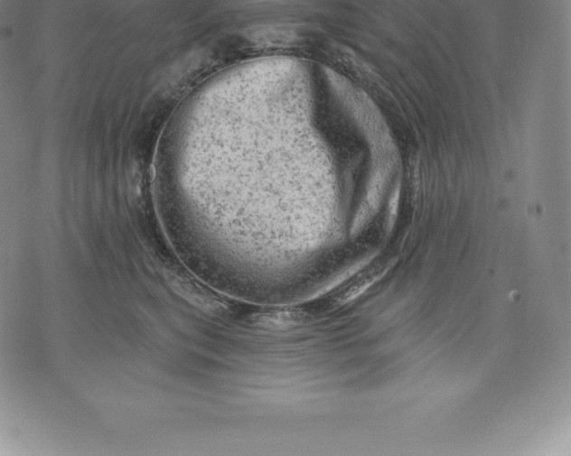 X0000076300567200610161556