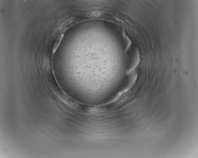 X0000076300568200610161556