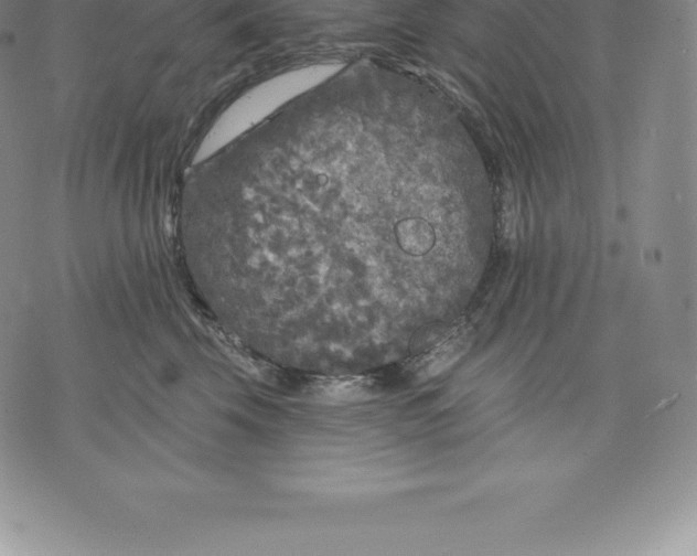 X0000076300569200610161556