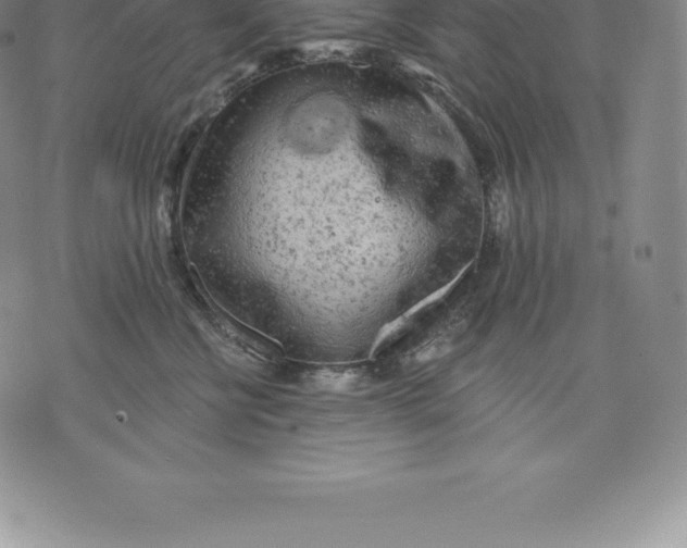 X0000076300570200610161556