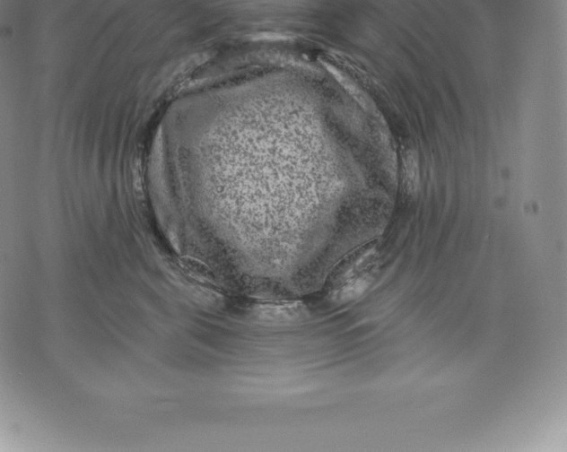 X0000076300571200610161556