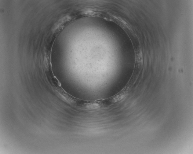 X0000076300572200610161556