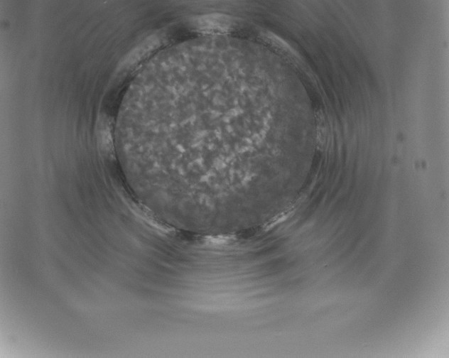 X0000076300573200610161556