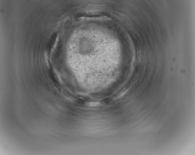 X0000076300575200610161556