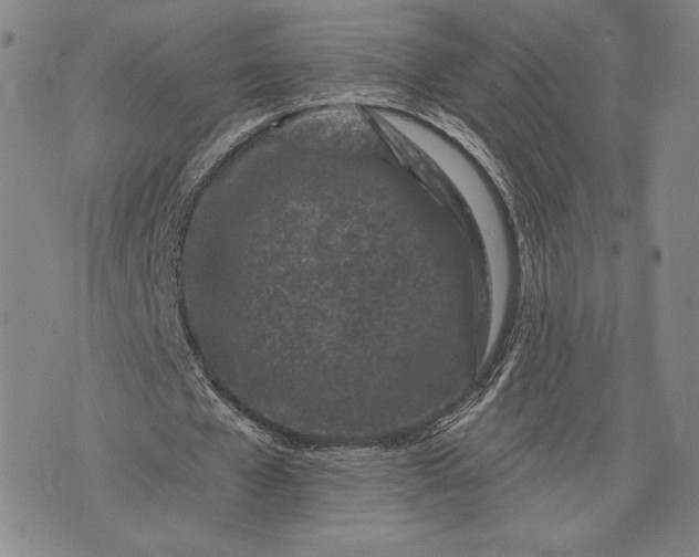 X0000076300577200610161556