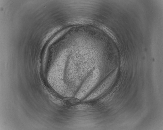 X0000076300578200610161556