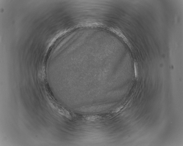 X0000076300579200610161556