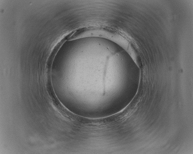 X0000076300580200610161556