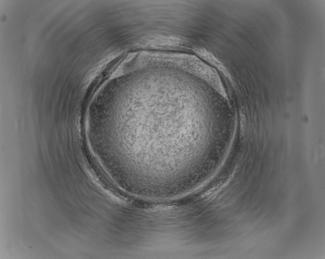 X0000076300581200610161556