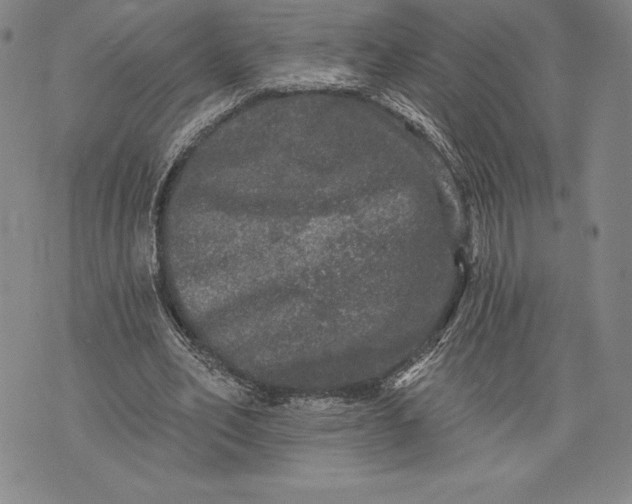 X0000076300582200610161556