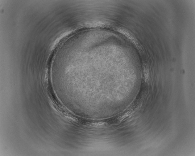 X0000076300583200610161556