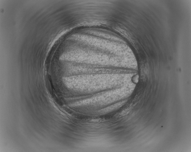 X0000076300584200610161556