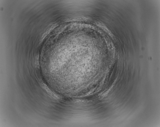 X0000076300585200610161556