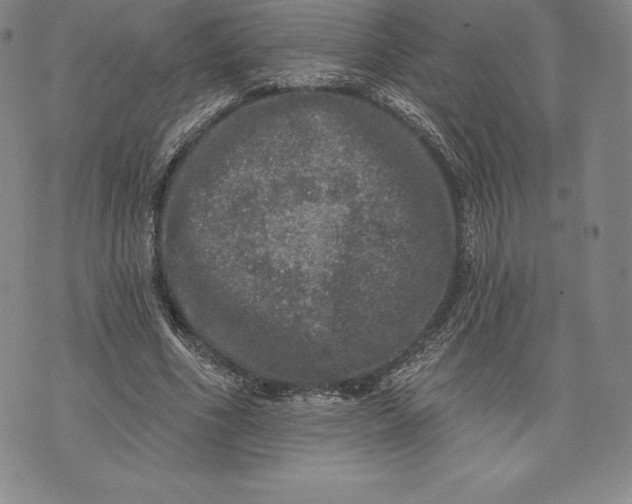 X0000076300586200610161555