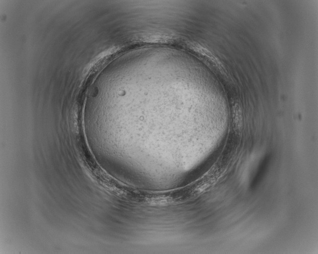 X0000076300587200610161555