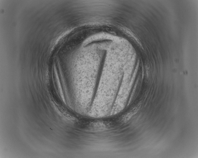 X0000076300588200610161555