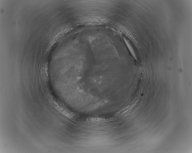 X0000076300590200610161555