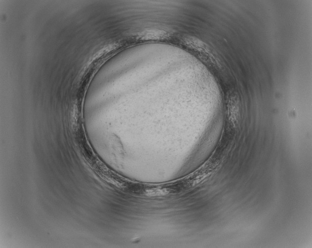 X0000076300591200610161555