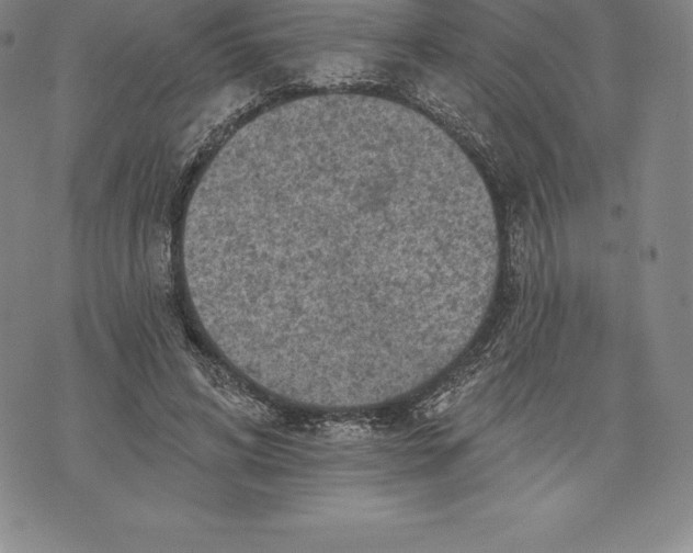 X0000076300592200610161555