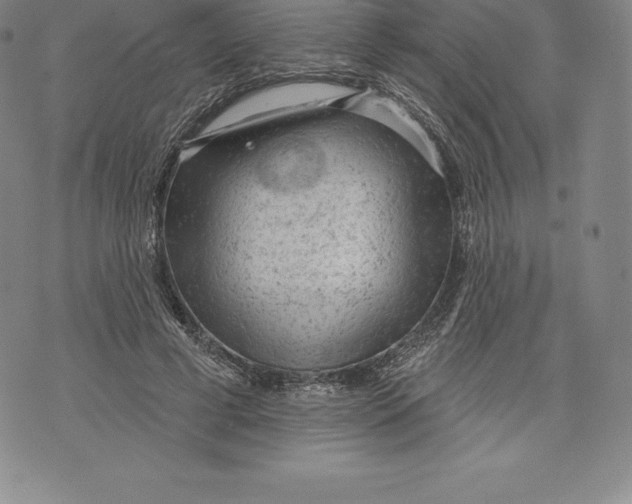 X0000076300593200610161555